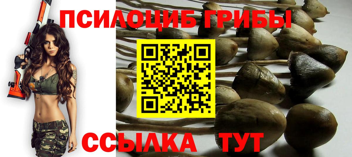Нарткала  Галлюциногенные грибы MAGIC MUSHROOMS  Вход с VPN 
